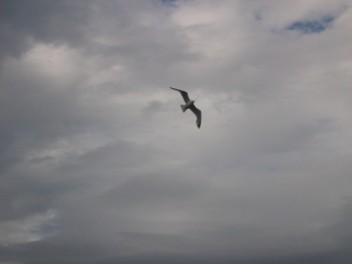 Brooding sky